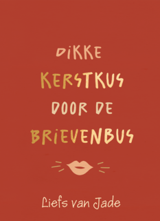 Dikke kerstkus brievenbus