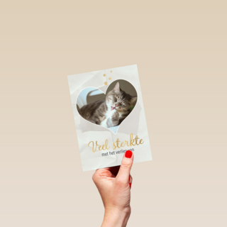 Fotokaart veel sterkte met verlies kat