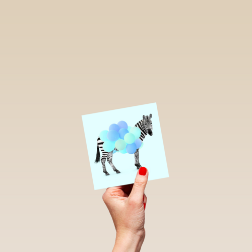 zebra met ballonnen blauw
