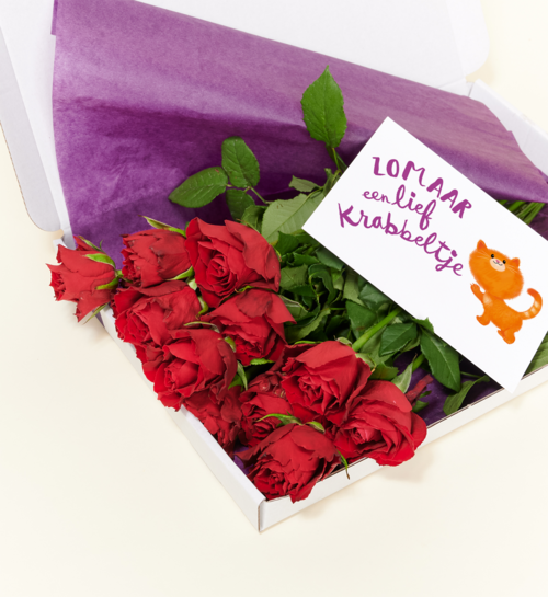 Brievenbusbloemen Rozen Rood