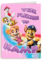 Paw Patrol veel plezier op kamp