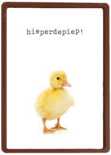 Verjaardagskaart eendje furry cuddles