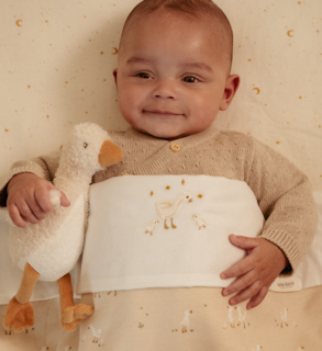 Little Dutch Little Goose