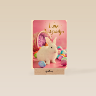 Paaskaart met wit konijntje