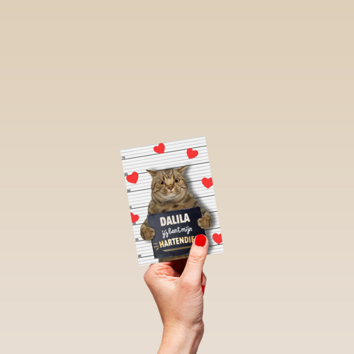 valentijn kaart kat grappig jij bent mijn hartendief