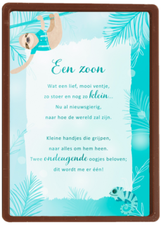 Babykaart zoon More than words