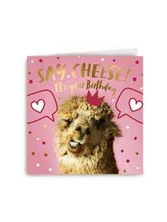 Llama say cheese