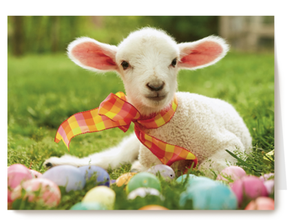 schattig lammetje met een sjaaltje en paaseitjes om zich heen
