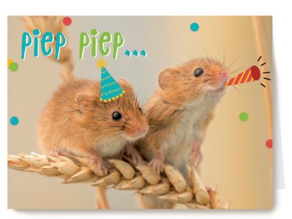 animal fiesta piep piep