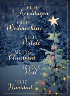 meertalige seeuw in het bos