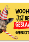 geslaagd kaart giraf met feestmuts