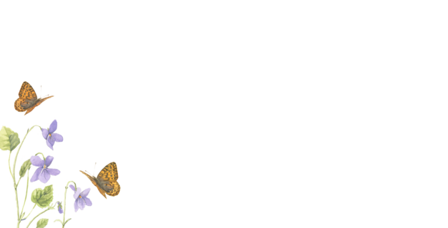 Marjolein Bastin Lief Bedankje Roze