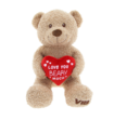 Teddybeer I Love You Beary Much