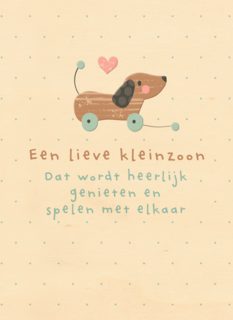 geboorte kleinzoon een lieve kleinzoon