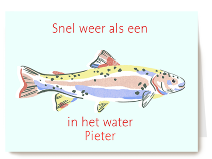Beterschap Snel Weer Als Een Vis