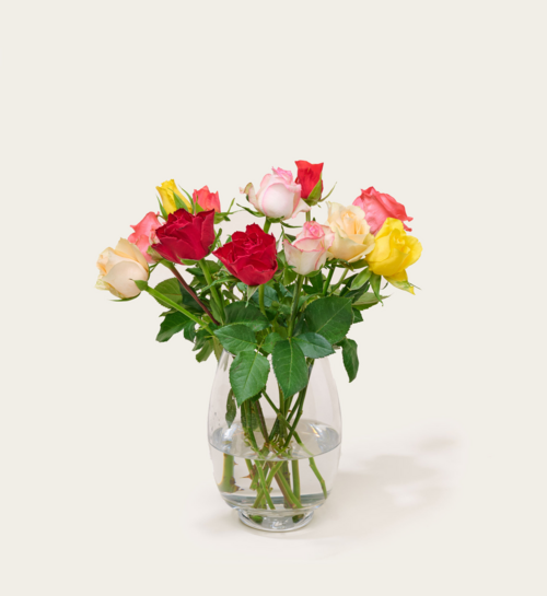 Brievenbusbloemen Rozen Taylor
