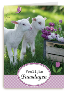 lammetje bloem pasen