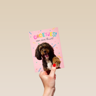 Op Kamp groetjes van thuis hond roze