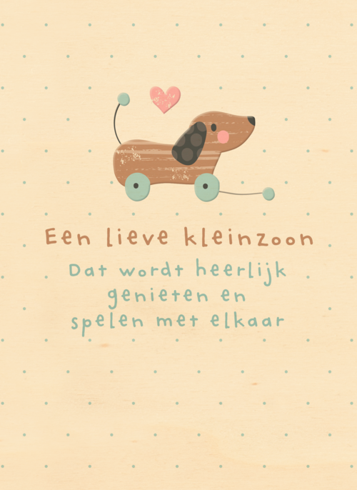 geboorte kleinzoon een lieve kleinzoon