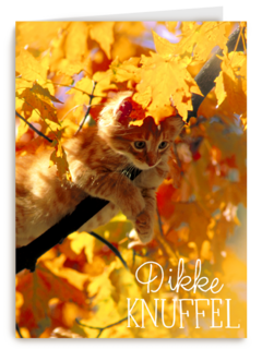 herfst kaart dikke herfst knuffel