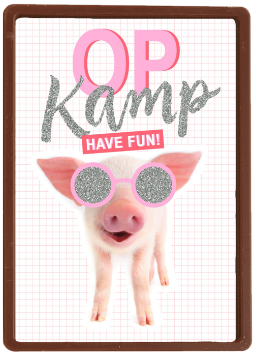 Op kamp kaart Biggetje met zonnebril have fun