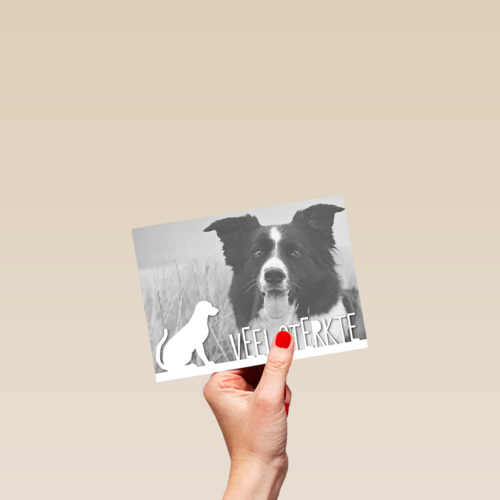 fotokaart veel sterkte verlies huisdier hond