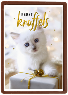 kerstknuffel van een kitten