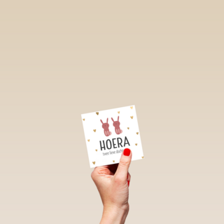 geboorte meerling meisjes hoera lieve dochtertjes