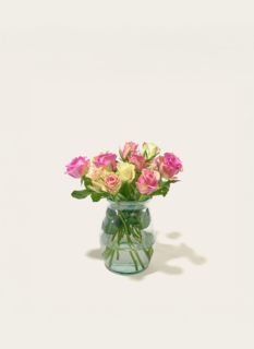 Brievenbusbloemen Pastel Crush