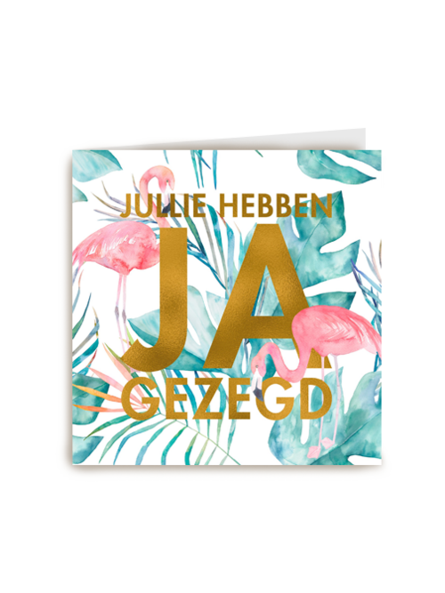 jullie hebben ja gezegd