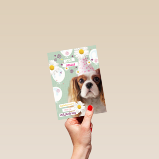 prodo dieren lieve gefeliciteerd met je verjaardag