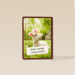 Warme zonnige paasgroetjes