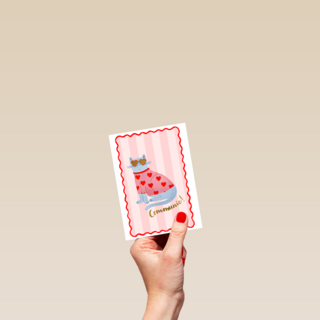 Communie coole lieve kat