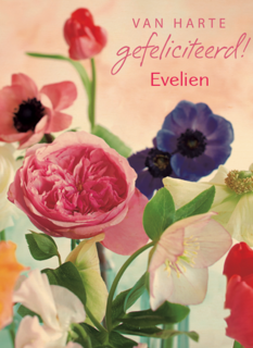 bloemen roze en paars