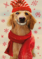 Big smile dog christmas
