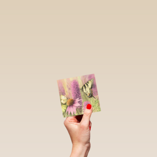 bloemen en vlinders