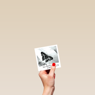 polaroid kaart het leven zo oneerlijk