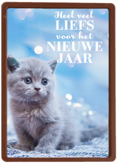 veel liefs voor het nieuwe jaar met deze kitten