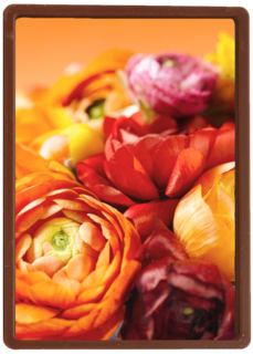 boeket van bloemen in herfstkleuren