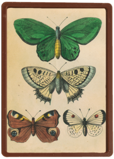 herfst kaart driemaal vlinders