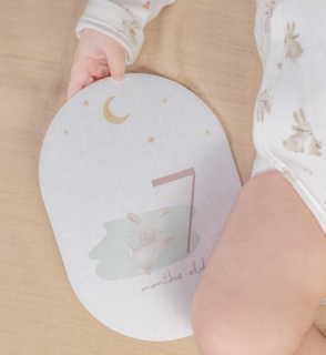 Little Dutch Mijlpaalkaarten Mijn eerste jaar Baby Bunny 