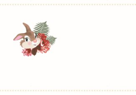 disney adult dikke knuffel voor jou