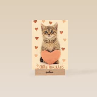 Liefde kaart kat met hart en dikke knuffel
