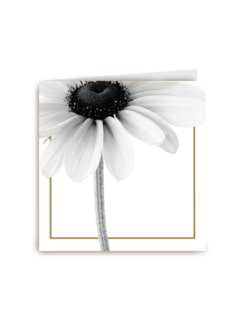 enkele witte bloem met goud randje