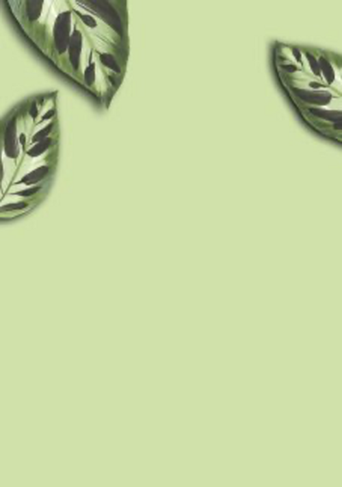 botanical kaart met bladeren en het woord verhuisd