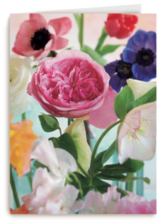 bloem bloemen