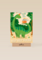 hiep hiep brachiosaurus hoera