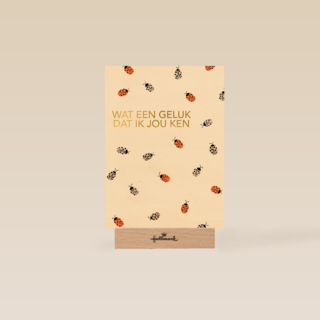 liefde vriendschap kaart wat een geluk dat ik jou ken
