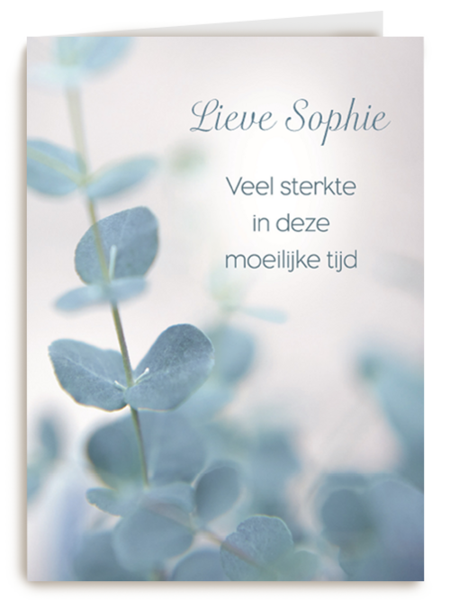 lieve veel sterkte in deze moeilijke tijd