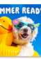 Summer ready dog